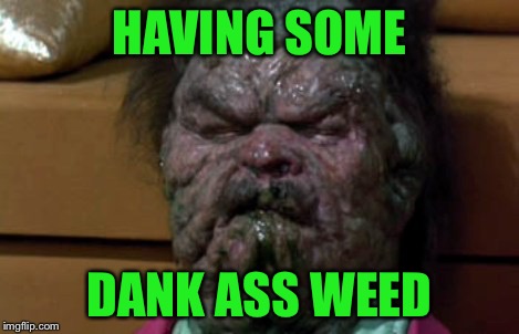 HAVING SOME; DANK ASS WEED | image tagged in dank bono fide weed | made w/ Imgflip meme maker