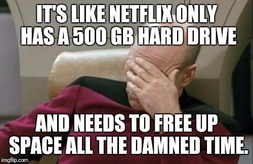 Captain Picard Facepalm Meme | IT'S LIKE NETFLIX ONLY HAS A 500 GB HARD DRIVE AND NEEDS TO FREE UP SPACE ALL THE DAMNED TIME. | image tagged in memes,captain picard facepalm | made w/ Imgflip meme maker