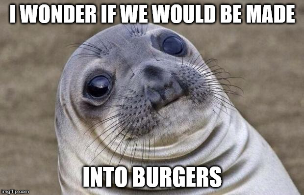 Awkward Moment Sealion Meme | I WONDER IF WE WOULD BE MADE INTO BURGERS | image tagged in memes,awkward moment sealion | made w/ Imgflip meme maker
