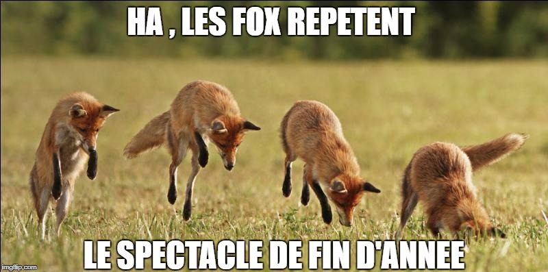 HA , LES FOX REPETENT; LE SPECTACLE DE FIN D'ANNEE | made w/ Imgflip meme maker