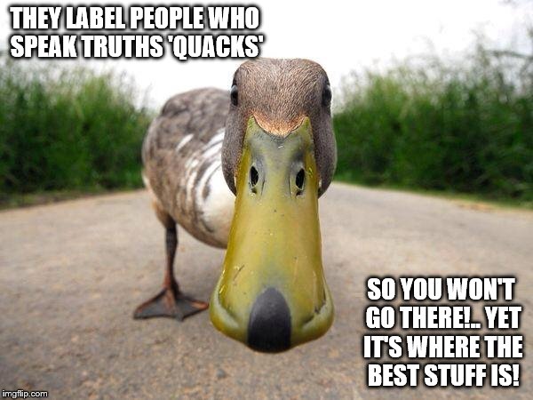 Duck | THEY LABEL PEOPLE WHO SPEAK TRUTHS 'QUACKS'; SO YOU WON'T GO THERE!.. YET IT'S WHERE THE BEST STUFF IS! | image tagged in duck | made w/ Imgflip meme maker