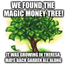 money tree | WE FOUND THE MAGIC MONEY TREE! IT WAS GROWING IN THERESA MAYS BACK GARDEN ALL ALONG | image tagged in money tree | made w/ Imgflip meme maker