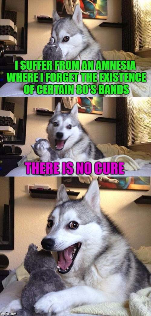 If you're old enough to get this...then you ROCK!!! | I SUFFER FROM AN AMNESIA WHERE I FORGET THE EXISTENCE OF CERTAIN 80'S BANDS; THERE IS NO CURE | image tagged in memes,bad pun dog,music,rock,funny,puns | made w/ Imgflip meme maker