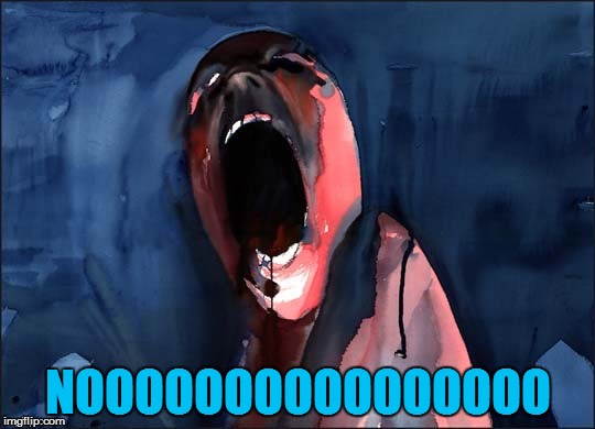 Pink Floyd Scream | NOOOOOOOOOOOOOOOO | image tagged in pink floyd scream | made w/ Imgflip meme maker