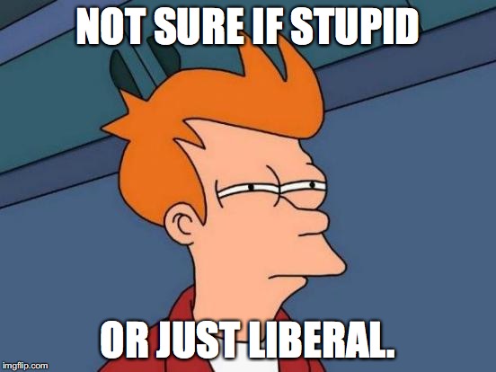 Futurama Fry Meme | NOT SURE IF STUPID OR JUST LIBERAL. | image tagged in memes,futurama fry | made w/ Imgflip meme maker