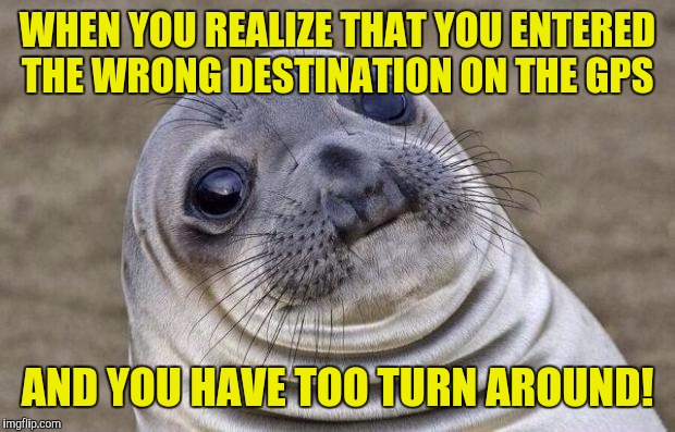 Awkward Moment Sealion Meme | WHEN YOU REALIZE THAT YOU ENTERED THE WRONG DESTINATION ON THE GPS; AND YOU HAVE TOO TURN AROUND! | image tagged in memes,awkward moment sealion | made w/ Imgflip meme maker