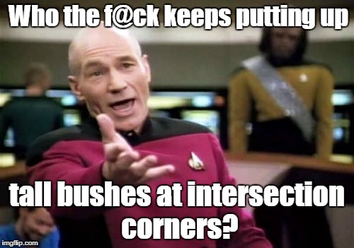 Picard Wtf Meme | Who the f@ck keeps putting up; tall bushes at intersection corners? | image tagged in memes,picard wtf | made w/ Imgflip meme maker