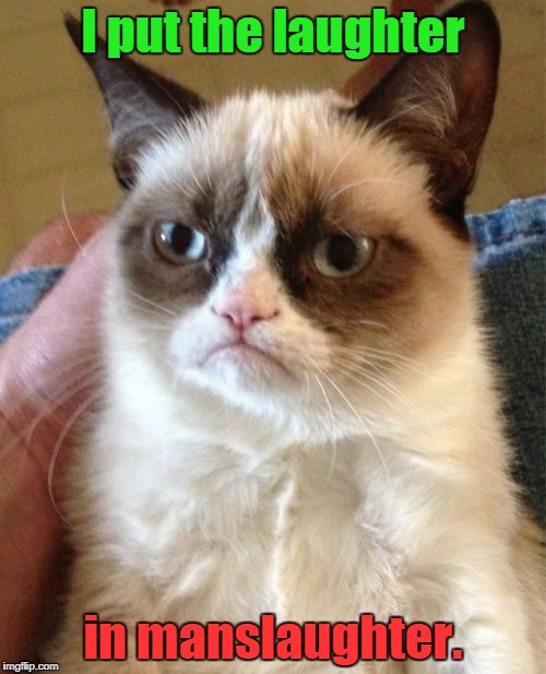 Grumpy Cat Meme | I put the laughter; in manslaughter. | image tagged in memes,grumpy cat | made w/ Imgflip meme maker