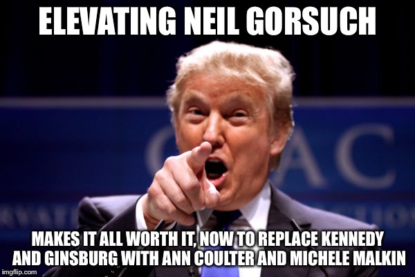 Your President BWHA-HA-HA! | ELEVATING NEIL GORSUCH MAKES IT ALL WORTH IT, NOW TO REPLACE KENNEDY AND GINSBURG WITH ANN COULTER AND MICHELE MALKIN | image tagged in your president bwha-ha-ha | made w/ Imgflip meme maker