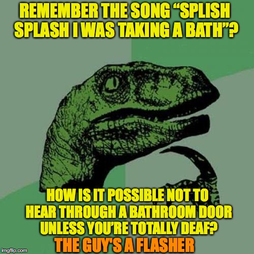 Philosoraptor Meme | REMEMBER THE SONG “SPLISH SPLASH I WAS TAKING A BATH”? HOW IS IT POSSIBLE NOT TO HEAR THROUGH A BATHROOM DOOR UNLESS YOU’RE TOTALLY DEAF? THE GUY'S A FLASHER | image tagged in memes,philosoraptor | made w/ Imgflip meme maker