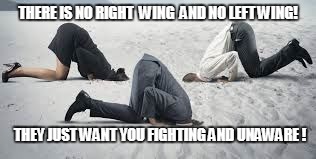 Current Politics | THERE IS NO RIGHT  WING  AND NO LEFT WING! THEY JUST WANT YOU FIGHTING AND UNAWARE ! | image tagged in current politics | made w/ Imgflip meme maker