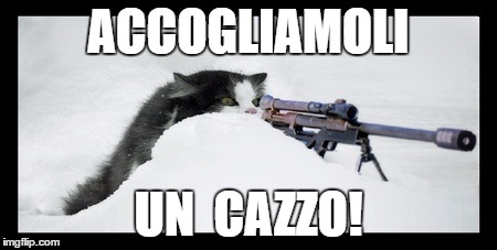 ACCOGLIAMOLI; UN  CAZZO! | image tagged in accogliamoli | made w/ Imgflip meme maker