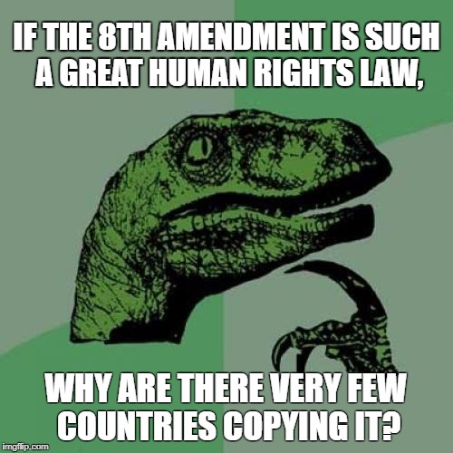 Philosoraptor Meme | IF THE 8TH AMENDMENT IS SUCH A GREAT HUMAN RIGHTS LAW, WHY ARE THERE VERY FEW COUNTRIES COPYING IT? | image tagged in memes,philosoraptor | made w/ Imgflip meme maker