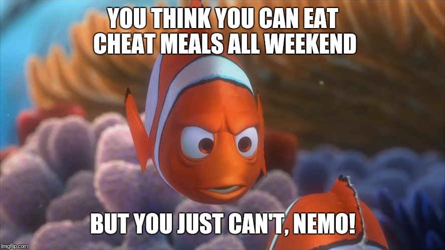 Nemo and Marlin | YOU THINK YOU CAN EAT CHEAT MEALS ALL WEEKEND; BUT YOU JUST CAN'T, NEMO! | image tagged in nemo and marlin | made w/ Imgflip meme maker