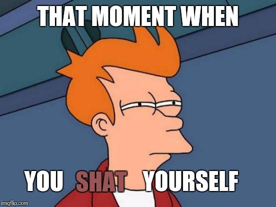 Eh, I think this is done before. But who cares. Its funny | THAT MOMENT WHEN; YOU                  YOURSELF; SHAT | image tagged in memes,futurama fry | made w/ Imgflip meme maker