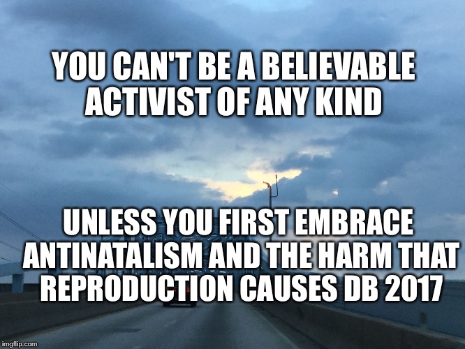 YOU CAN'T BE A BELIEVABLE ACTIVIST OF ANY KIND; UNLESS YOU FIRST EMBRACE ANTINATALISM AND THE HARM THAT REPRODUCTION CAUSES DB 2017 | image tagged in antinatalism reproduction,activism | made w/ Imgflip meme maker