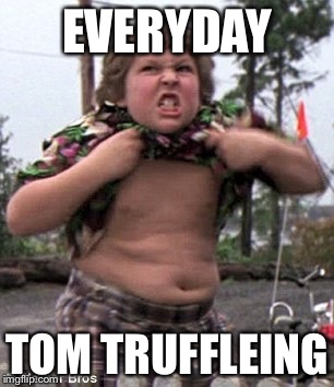 Truffle Shuffle | EVERYDAY; TOM TRUFFLEING | image tagged in truffle shuffle | made w/ Imgflip meme maker