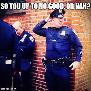 Honestly Just-Tryna-Do-My-Job Confused Po Pos | SO YOU UP TO NO GOOD, OR NAH? | image tagged in police lives matter | made w/ Imgflip meme maker