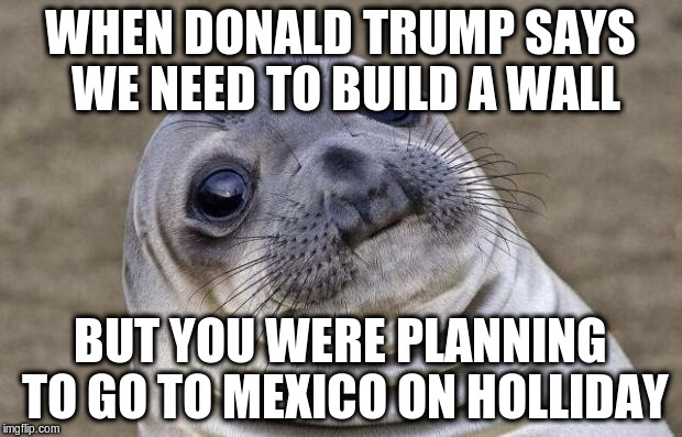 Awkward Moment Sealion Meme | WHEN DONALD TRUMP SAYS WE NEED TO BUILD A WALL; BUT YOU WERE PLANNING TO GO TO MEXICO ON HOLLIDAY | image tagged in memes,awkward moment sealion | made w/ Imgflip meme maker