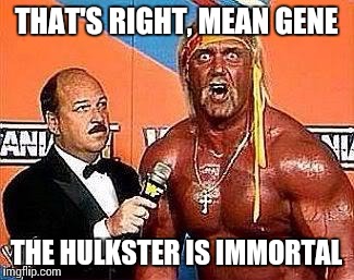 That's the truth, brothers and sisters | THAT'S RIGHT, MEAN GENE; THE HULKSTER IS IMMORTAL | image tagged in hulk hogan,so true memes,memes,political correctness | made w/ Imgflip meme maker