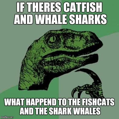 Philosoraptor | IF THERES CATFISH AND WHALE SHARKS; WHAT HAPPEND TO THE FISHCATS AND THE SHARK WHALES | image tagged in memes,philosoraptor | made w/ Imgflip meme maker