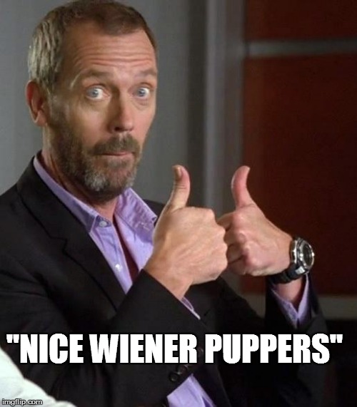 "NICE WIENER PUPPERS" | made w/ Imgflip meme maker