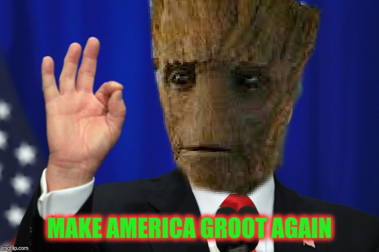 I am grooot | MAKE AMERICA GROOT AGAIN | image tagged in i am groot | made w/ Imgflip meme maker