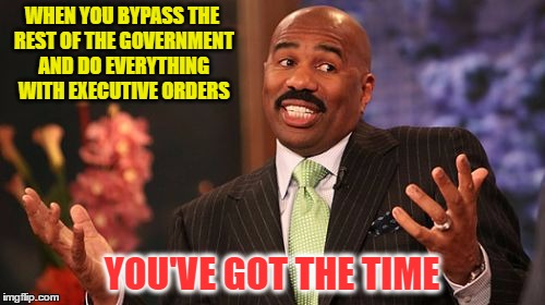 Steve Harvey Meme | WHEN YOU BYPASS THE REST OF THE GOVERNMENT AND DO EVERYTHING WITH EXECUTIVE ORDERS YOU'VE GOT THE TIME | image tagged in memes,steve harvey | made w/ Imgflip meme maker