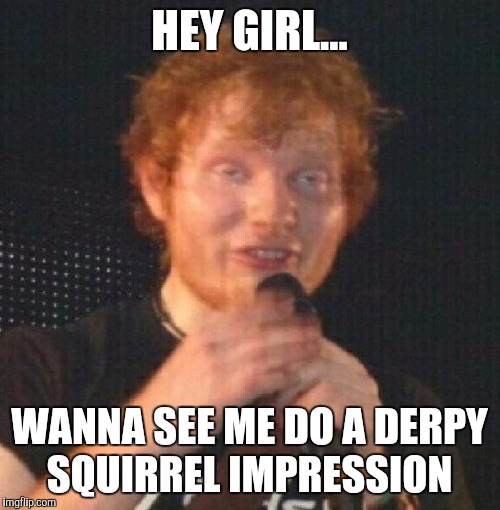 Derpy Ed | HEY GIRL... WANNA SEE ME DO A DERPY SQUIRREL IMPRESSION | image tagged in derpy ed | made w/ Imgflip meme maker
