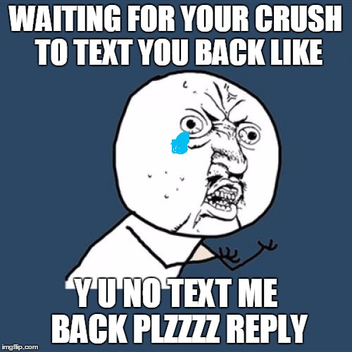 Y U No Meme | WAITING FOR YOUR CRUSH TO TEXT YOU BACK LIKE; Y U NO TEXT ME BACK PLZZZZ REPLY | image tagged in memes,y u no | made w/ Imgflip meme maker