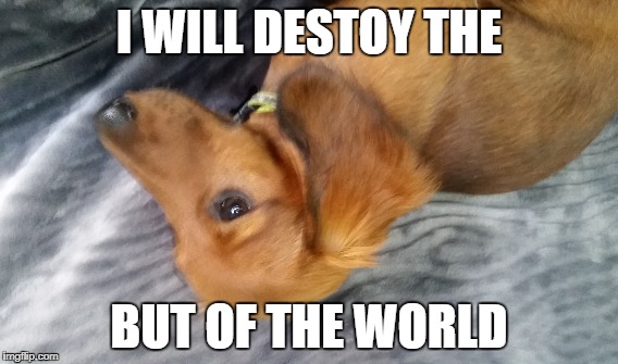 I WILL DESTOY THE; BUT OF THE WORLD | image tagged in skyrim,lady | made w/ Imgflip meme maker