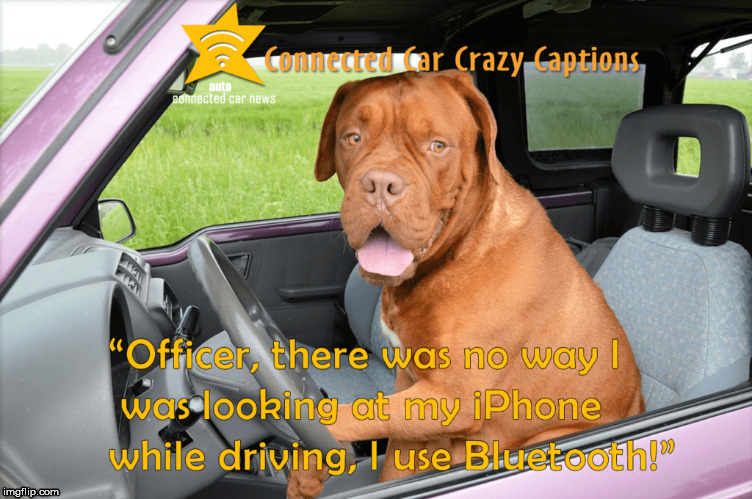 Dog deals with new connected car technology by AUTO Connected Car News. | image tagged in iphone,bluetooth,connected car,dog,driving,distracted driving | made w/ Imgflip meme maker