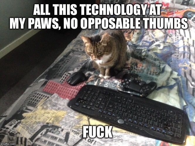 Technology Cat Can't | image tagged in cats,funny,evil cat | made w/ Imgflip meme maker