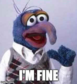 gonzo | I'M FINE | image tagged in gonzo | made w/ Imgflip meme maker