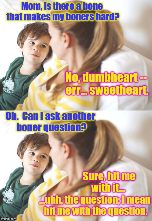 An uncomfy convo | Mom, is there a bone that makes my boners hard? No, dumbheart -- err... sweetheart. Oh.  Can I ask another boner question? Sure, hit me with it... ...uhh, the question; I mean hit me with the question. | image tagged in memes,funny,kids,phunny,boner,mother and son | made w/ Imgflip meme maker