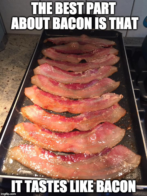 Smells like it too! | THE BEST PART ABOUT BACON IS THAT; IT TASTES LIKE BACON | image tagged in yum bacon,iwanttobebacon,iwanttobebaconcom | made w/ Imgflip meme maker
