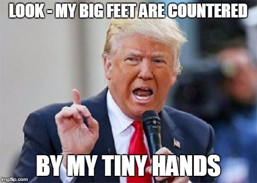 LOOK - MY BIG FEET ARE COUNTERED BY MY TINY HANDS | made w/ Imgflip meme maker