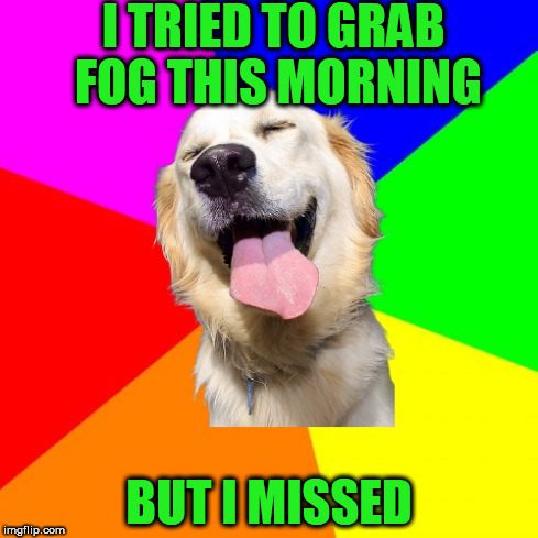 Introducing Anti Pun Dog! The answer to Anti Joke Chicken!  | I TRIED TO GRAB FOG THIS MORNING; BUT I MISSED | image tagged in anti pun dog | made w/ Imgflip meme maker