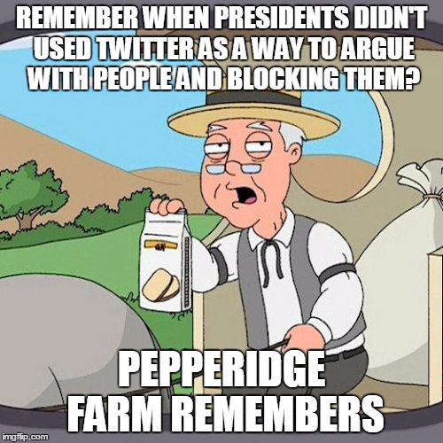 Pepperidge Farm Remembers | REMEMBER WHEN PRESIDENTS DIDN'T USED TWITTER AS A WAY TO ARGUE WITH PEOPLE AND BLOCKING THEM? PEPPERIDGE FARM REMEMBERS | image tagged in memes,pepperidge farm remembers | made w/ Imgflip meme maker