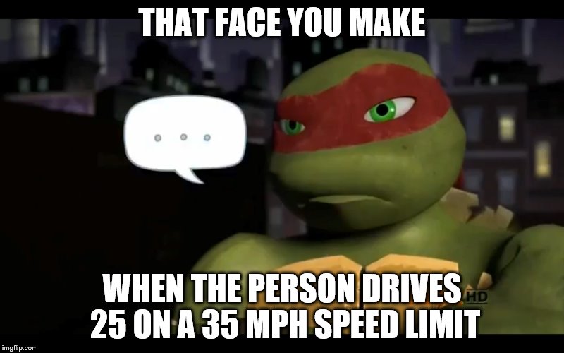 THAT FACE YOU MAKE; WHEN THE PERSON DRIVES 25 ON A 35 MPH SPEED LIMIT | made w/ Imgflip meme maker