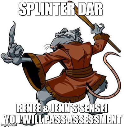 splinter | SPLINTER DAR; RENEE & JENN'S SENSEI YOU WILL PASS ASSESSMENT | image tagged in splinter | made w/ Imgflip meme maker