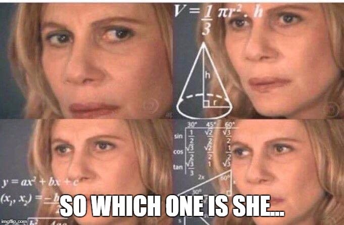 Math lady/Confused lady | SO WHICH ONE IS SHE... | image tagged in math lady/confused lady | made w/ Imgflip meme maker