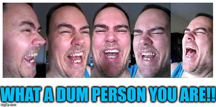 LOL | WHAT A DUM PERSON YOU ARE!! | image tagged in lol | made w/ Imgflip meme maker