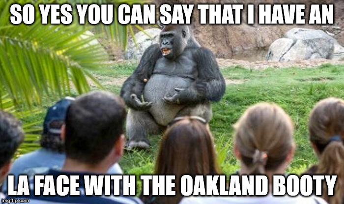 philosophical gorilla | SO YES YOU CAN SAY THAT I HAVE AN; LA FACE WITH THE OAKLAND BOOTY | image tagged in gorilla | made w/ Imgflip meme maker