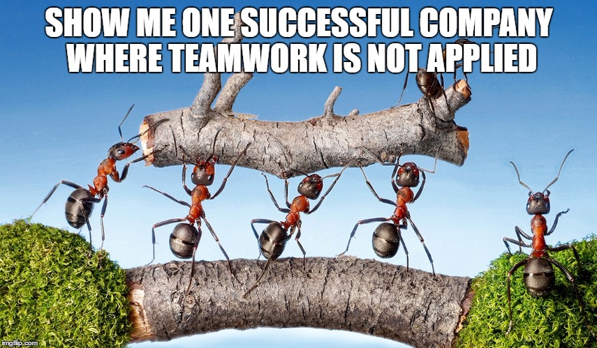 teamwork rules | SHOW ME ONE SUCCESSFUL COMPANY WHERE TEAMWORK IS NOT APPLIED | image tagged in i guarantee it | made w/ Imgflip meme maker