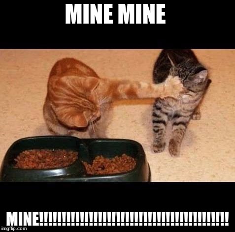 cats share food | MINE MINE; MINE!!!!!!!!!!!!!!!!!!!!!!!!!!!!!!!!!!!!!!!!!! | image tagged in cats share food | made w/ Imgflip meme maker