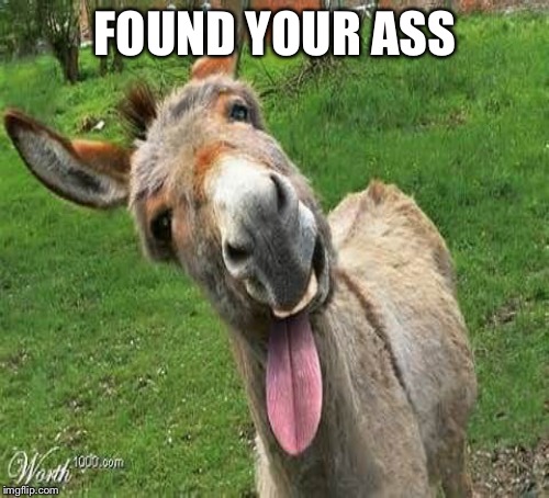 FOUND YOUR ASS | made w/ Imgflip meme maker