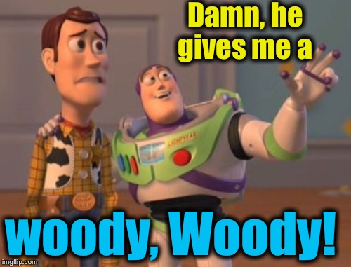 X, X Everywhere Meme | Damn, he gives me a woody, Woody! | image tagged in memes,x x everywhere | made w/ Imgflip meme maker