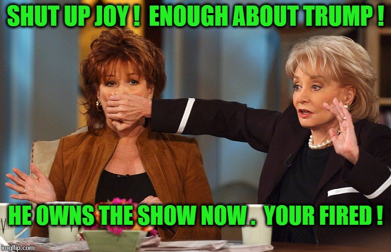 Shut Up Joy | SHUT UP JOY !  ENOUGH ABOUT TRUMP ! HE OWNS THE SHOW NOW .  YOUR FIRED ! | image tagged in the view | made w/ Imgflip meme maker
