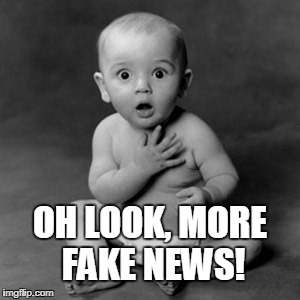 So Much Bull on the Web | OH LOOK, MORE FAKE NEWS! | image tagged in fake news,bullshit,crap,politics,oh please,media lies | made w/ Imgflip meme maker